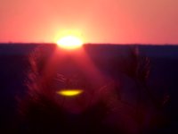 The Sun And The Mountain And America