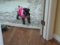 Emma hates her new christmas snuggie