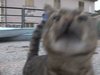 ICEfilm - Worldwide Documentary film
