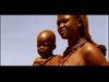 The Best Short Films In The World.com