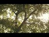 Amsterdam Worldwide's Channel
