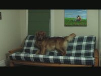 Dutch v. Futon