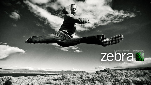Gabriel Bienczycki - Zebra Visual Demo Reel 2010 Gabriel Bienczycki - Zebra Visual Demo Reel 2010