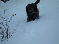 Snöa Dag