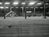 Rotterdam Fixed Gear