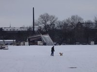 Taking doggy for a walk
