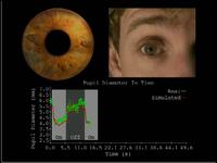 Photorealistic Models for Pupil Light Reflex and Iridal Pattern Deformation
