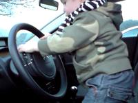 Definitely attracted to cars