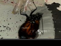Film Credits v2