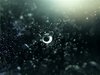 Purely Motion Graphics