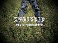 Red de Tederheid - Marigold
