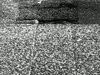 B/W in HD