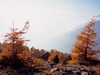 Autunno in Val Zebru', nel Parco Stelvio