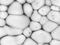 Tane Sınırları (Grain Boundary) 2 Tane Sınırları (Grain Boundary) 2
