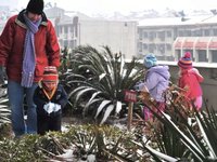 Snow Day Slideshow