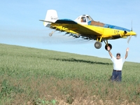 Flight of the Bumble Beast