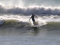 Longboard & Waveski