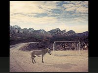 Making Of - Zebra