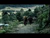 The Last Dragon Kingdom (TFF Documentary) by Aine Carey The Last Dragon Kingdom (TFF Documentary) by Aine Carey