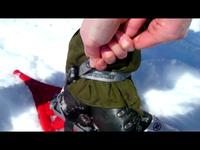 Snowshoes in the Bohemian Forest
