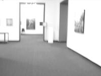 sidelines: In the Gallery