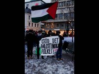 Fackeltåg för Gaza 16 jan 2010 i Malmö