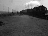 Trailer Exceeda