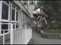 zoo video 29
