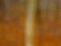 Haverscape_