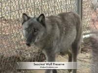 Seacrest Wolf Preserve