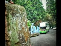預防小黑蚊_旅遊車