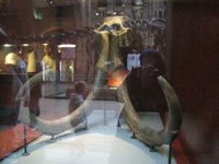 Mammoth