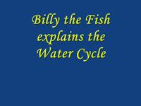 The Water Cycle