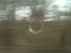 Train Ride #1