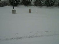 Floyd & Morgan Snow IV