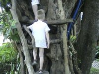 Pai Treehouse