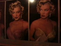 They Can't Trick Marilyn