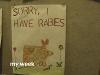My Week #41 (January 25-31)