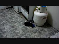 El Gato que se queja de la comida