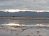 Whitewater Draw Wildlife Area, Cochise County, Az