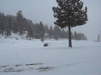 Mt. High Snow Play