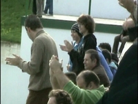 Fabril - A.D.Q.C.
