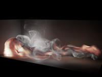 Throwing a flame into a box... (emFluid3, emRPC 3.02)