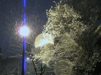 Snowmageddon journey in DC