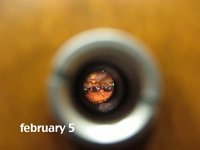 My Week #42 (February 1-7)