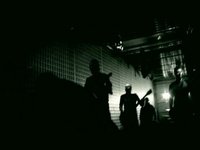 Ver video
