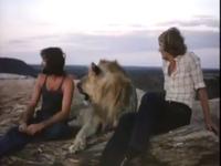 A Lion Called Christian: The Final Farewell