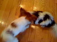 Pixi and her boyfriend