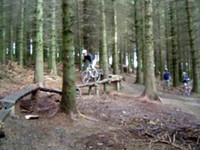Matt @ Ewok Village
