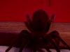 RED BOX Spider RED BOX Spider